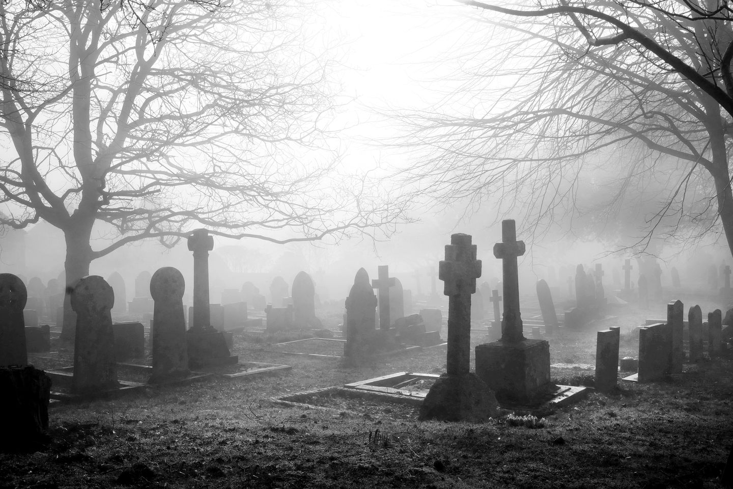 Cemetery Tour