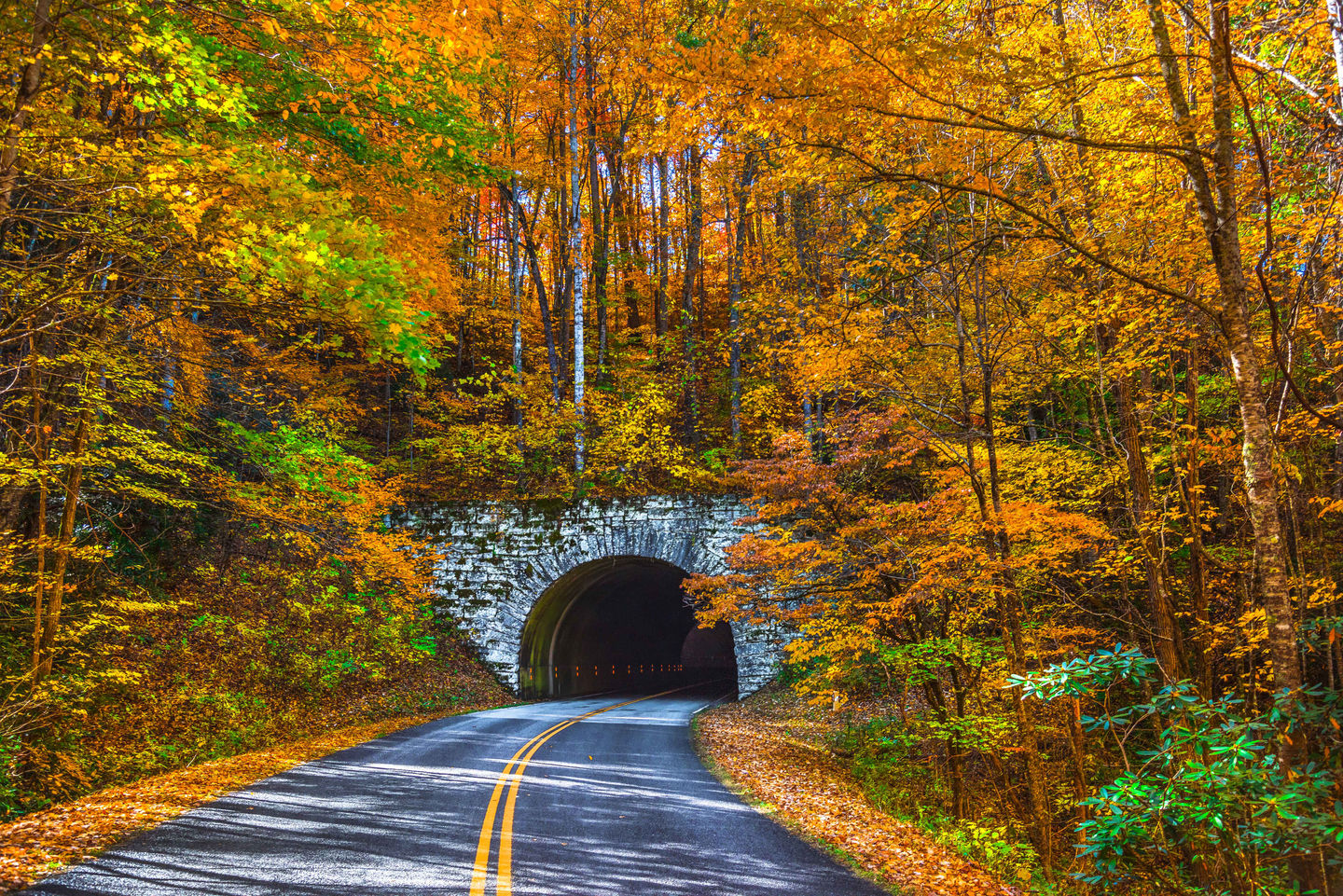 Driving Tour