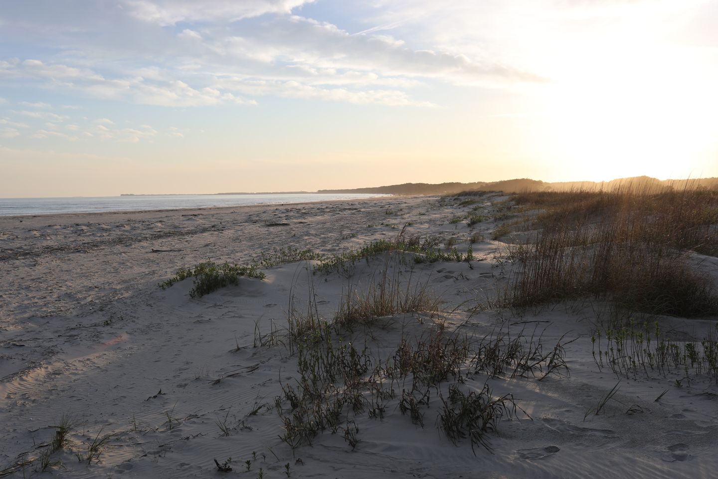 Capers Island