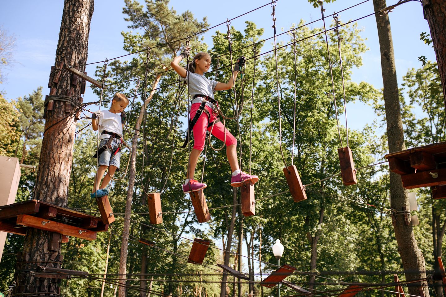 Kids on rope course