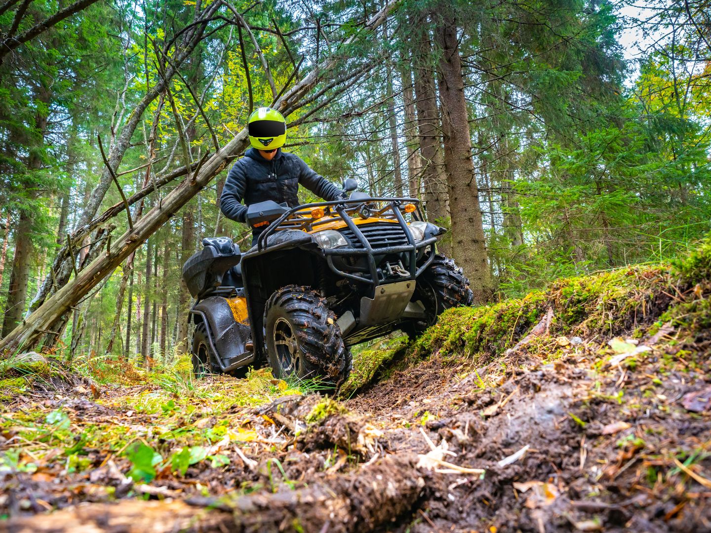 Person riding on ATV