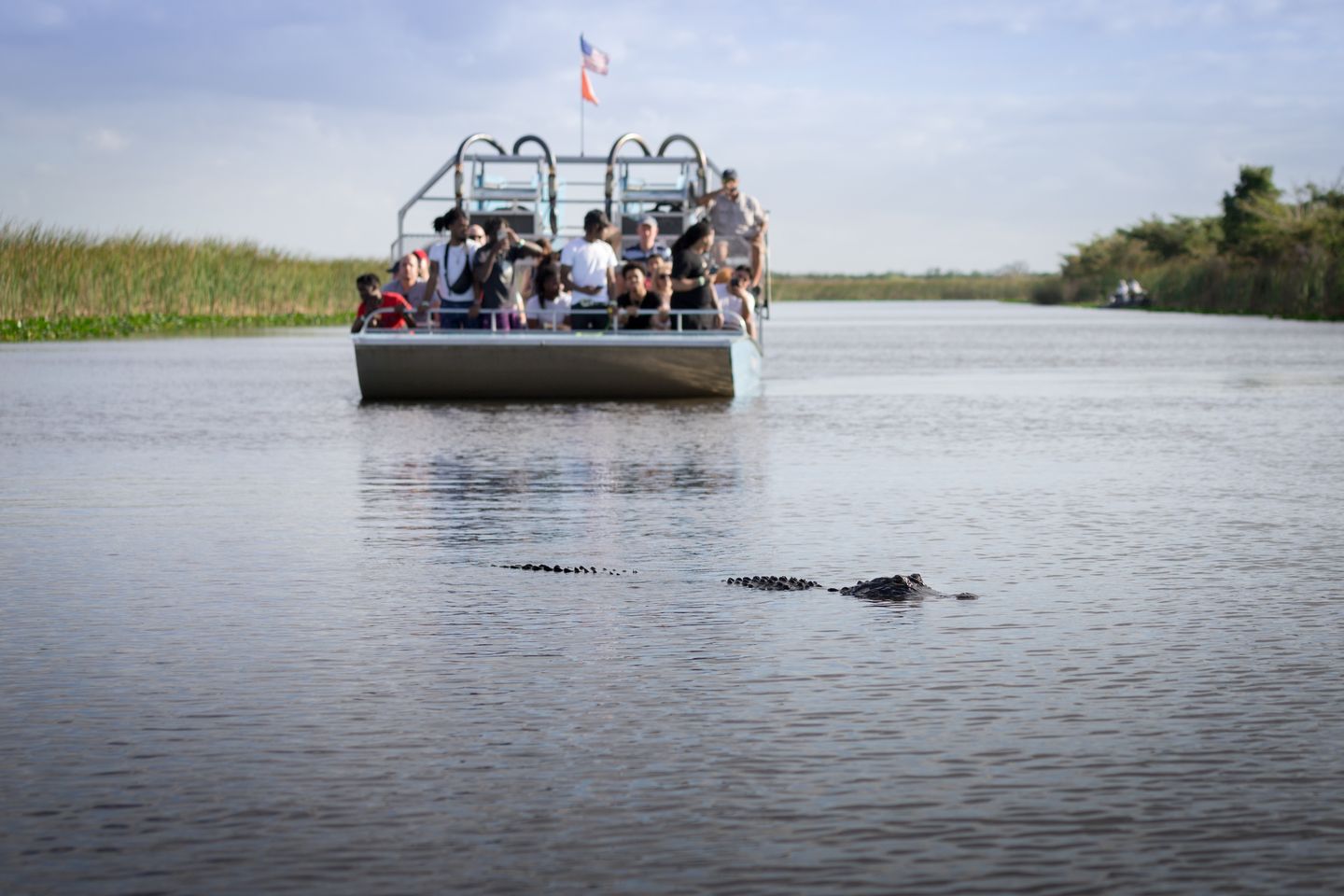 Airboat on water