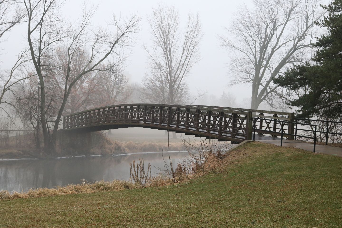 Foggy Bridge