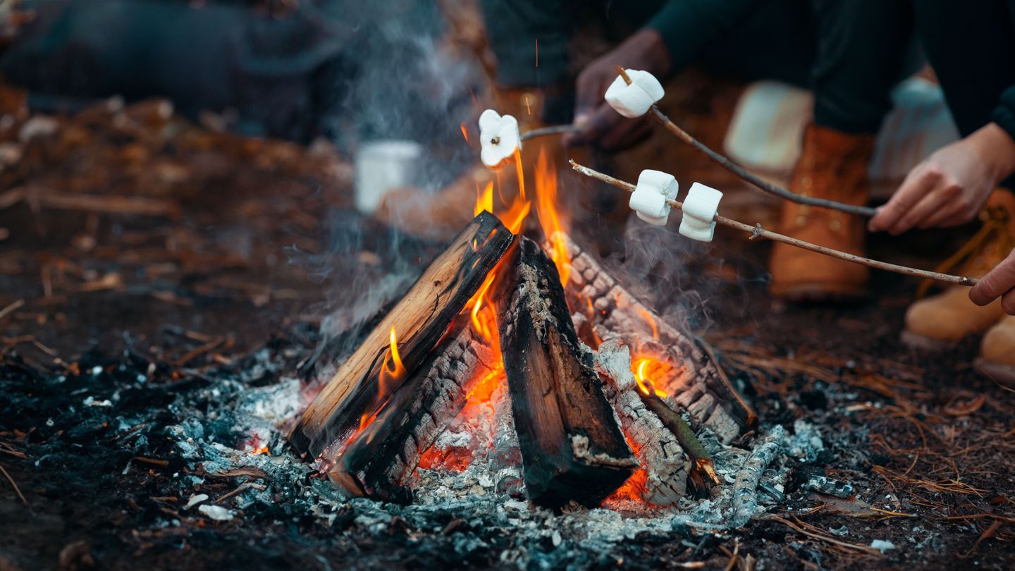 Firepit and Smores