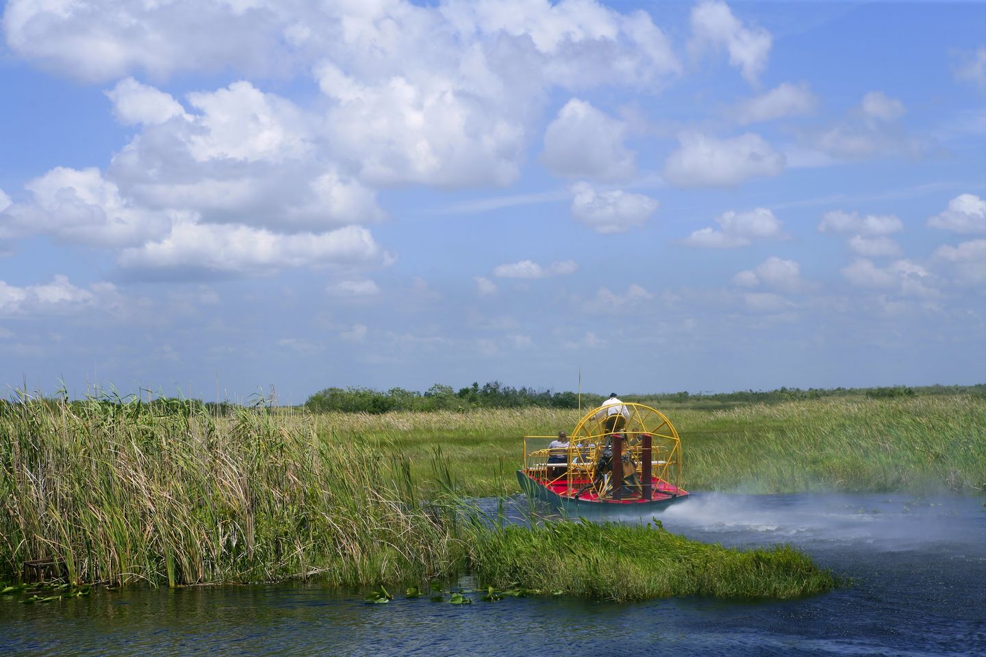 Everglades Airboat 