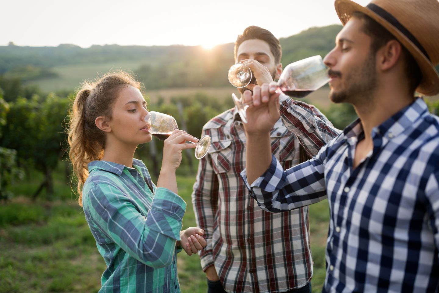 Group tasting wine