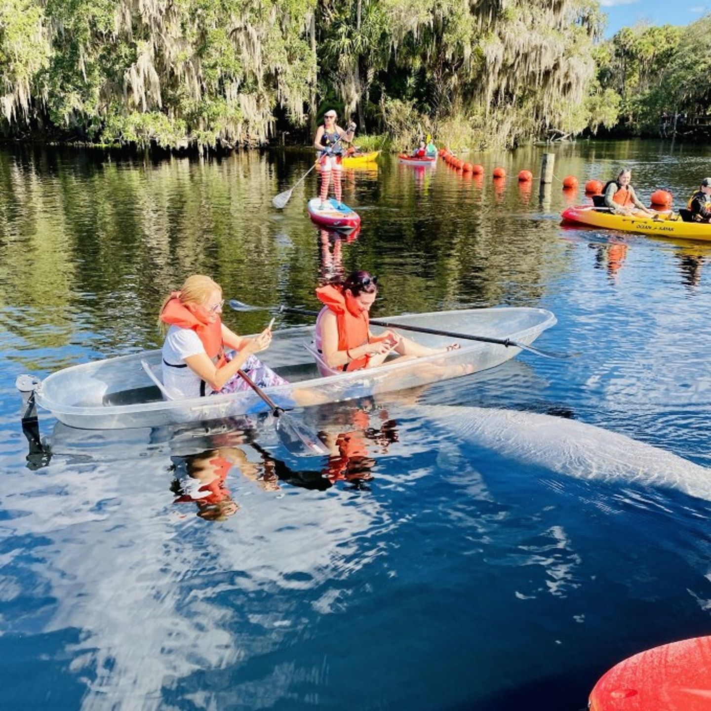 People on clear kayak