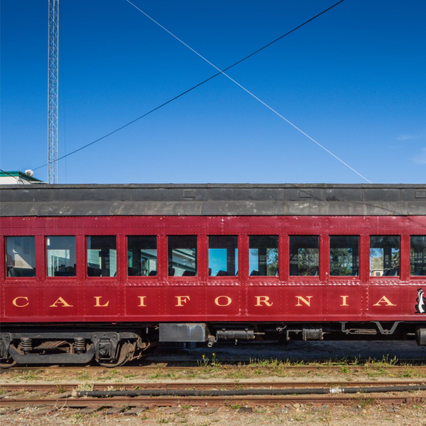 Sightseeing Train Tour