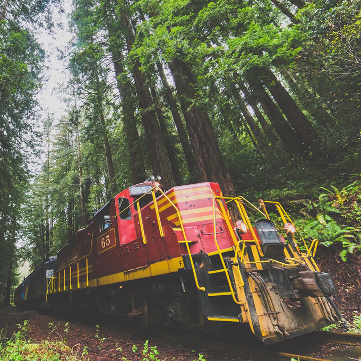 California Train Tour