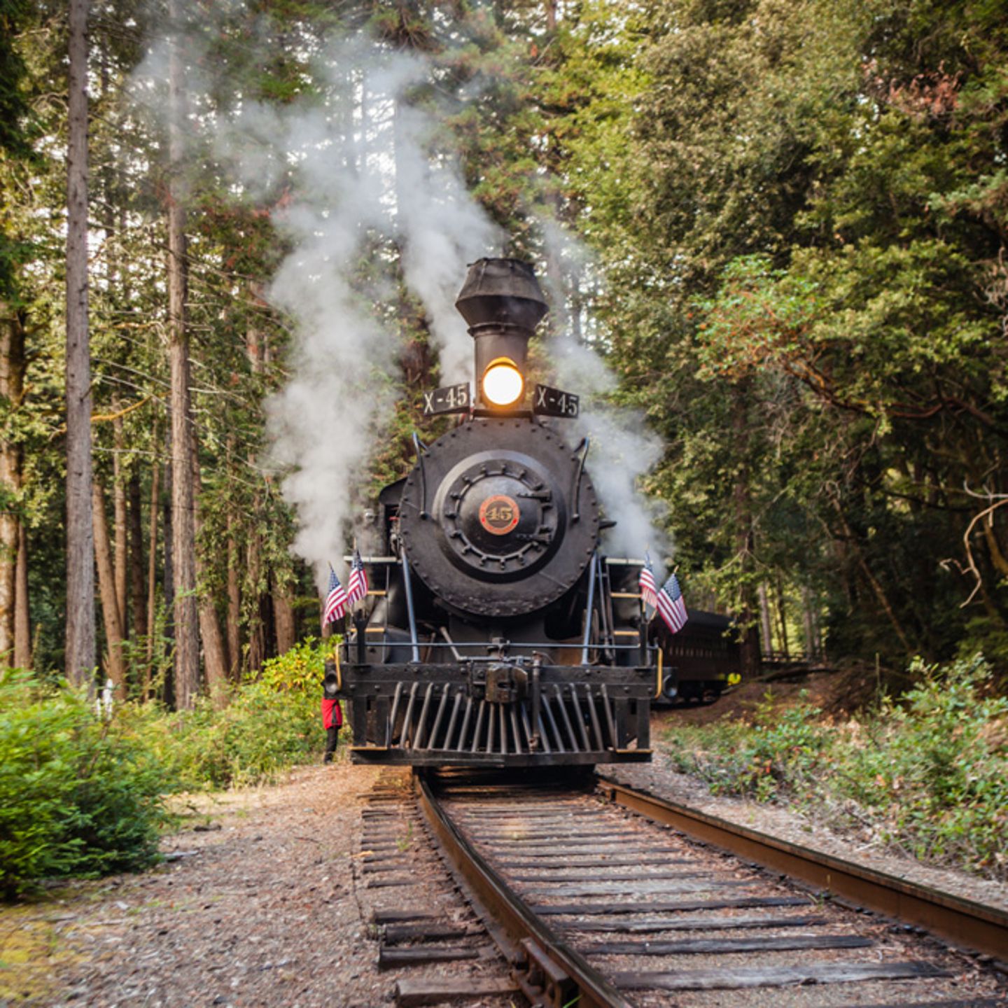 Train Tour from Fort Bragg