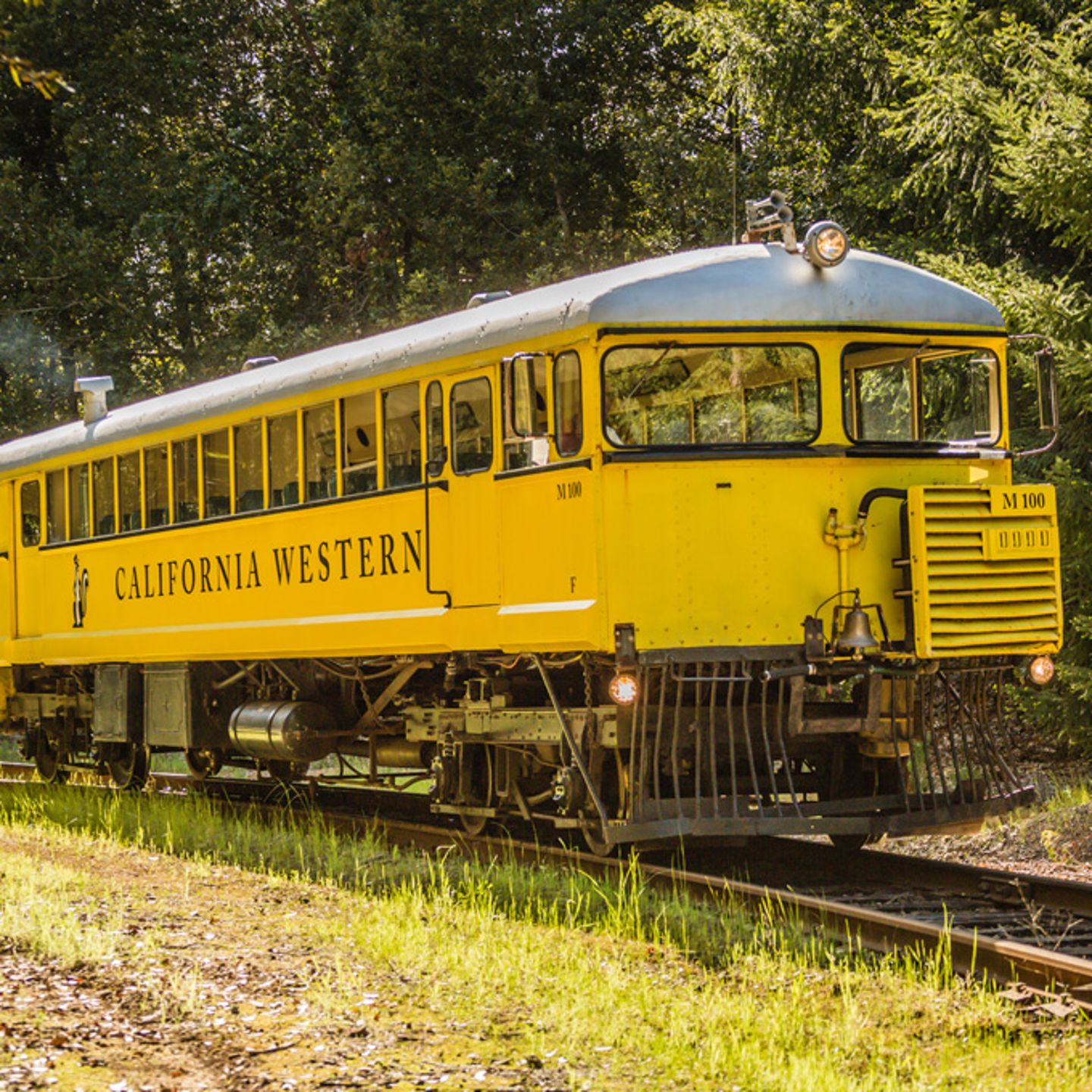 Train Tour from Willits