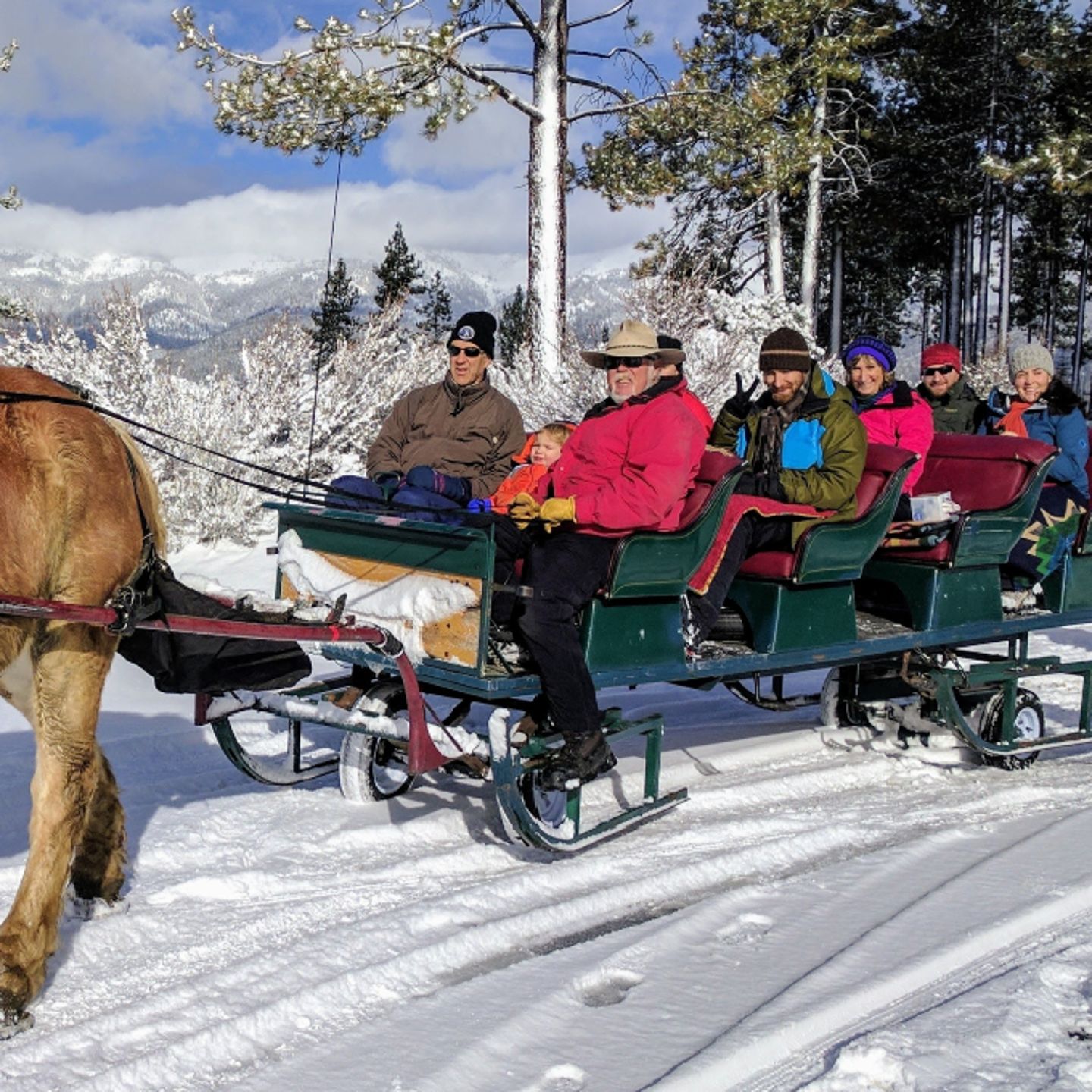 People on sleigh
