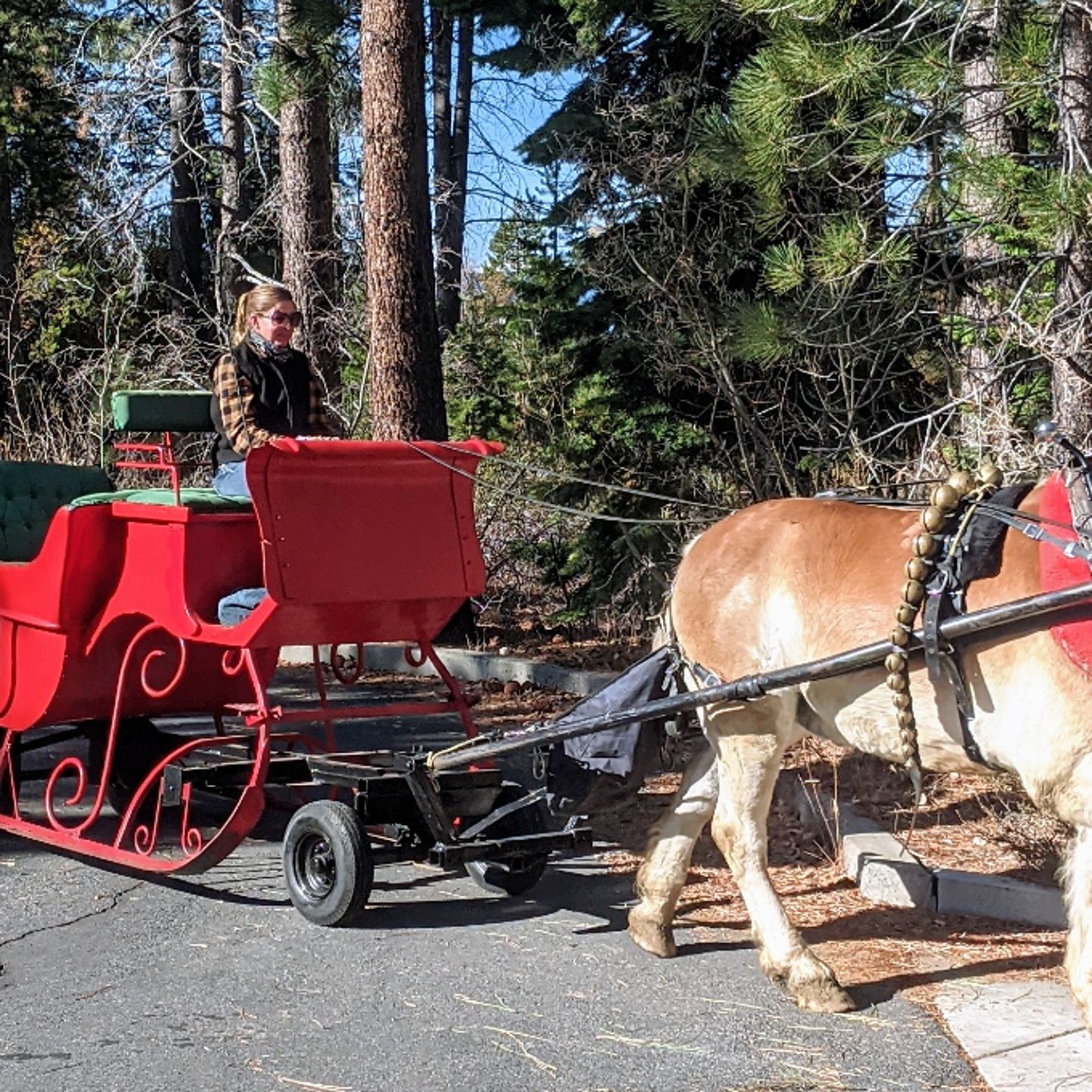 Horse pulling sleigh