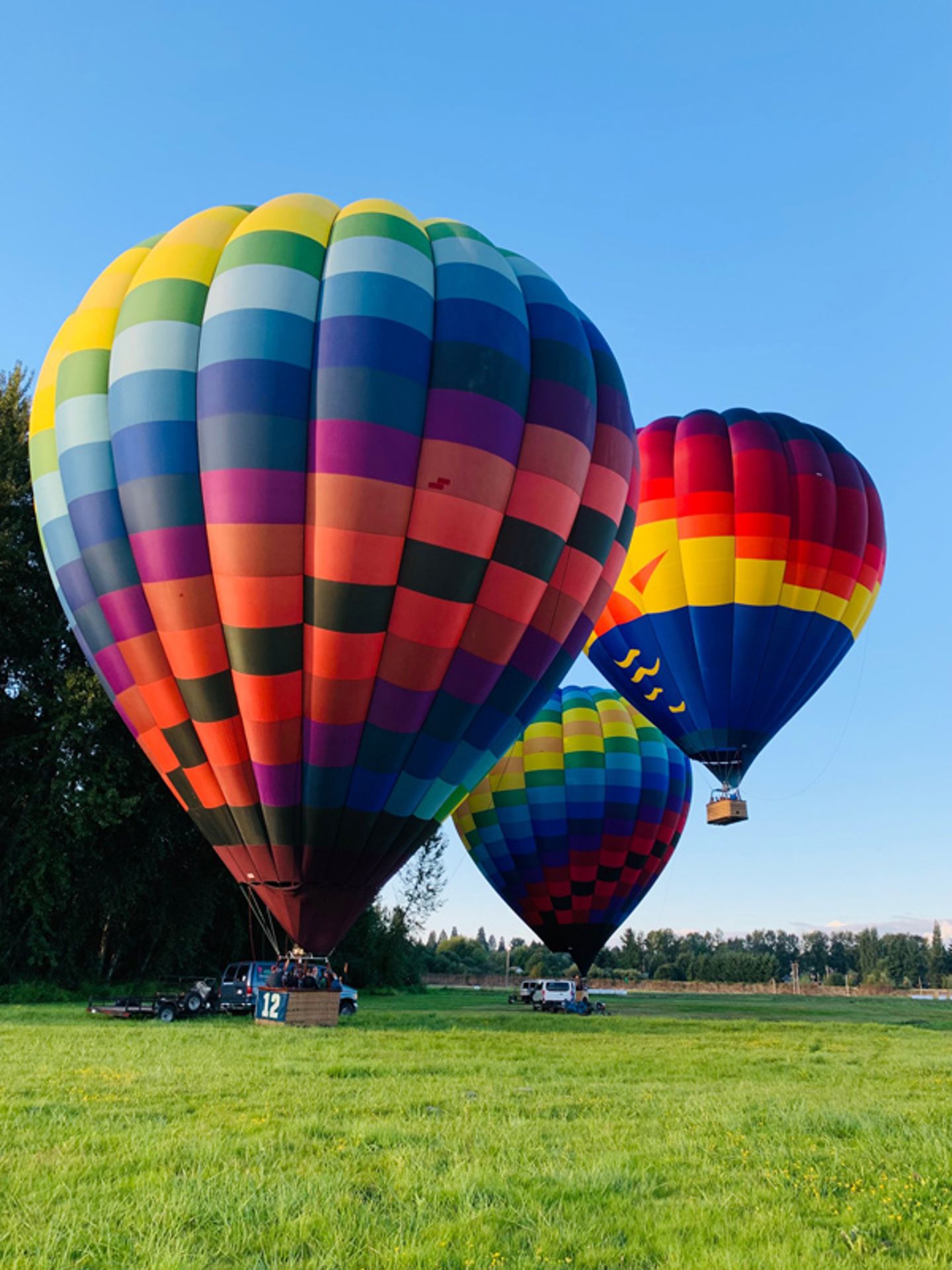 Balloons taking off