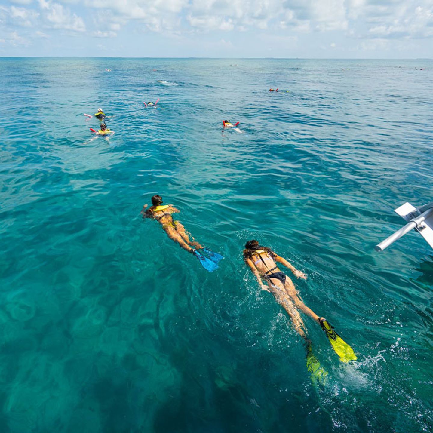 Snorkeling Trip