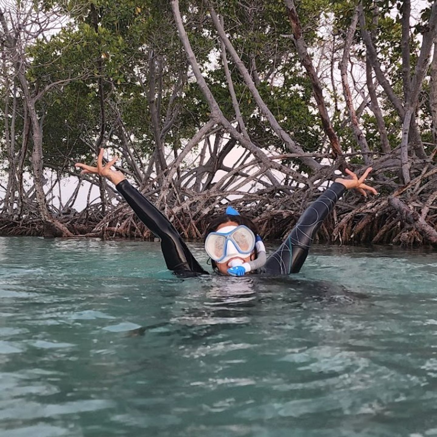Person Snorkeling