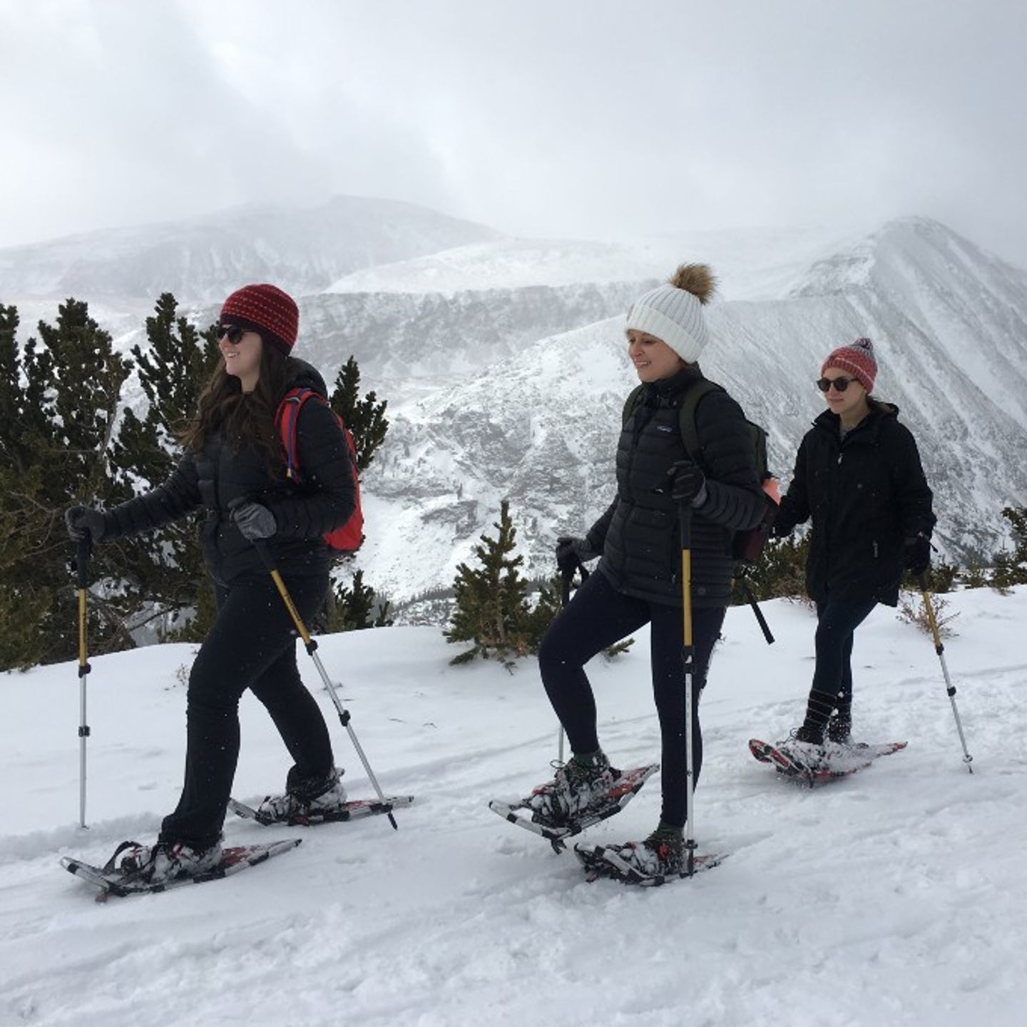 Group snowshoeing