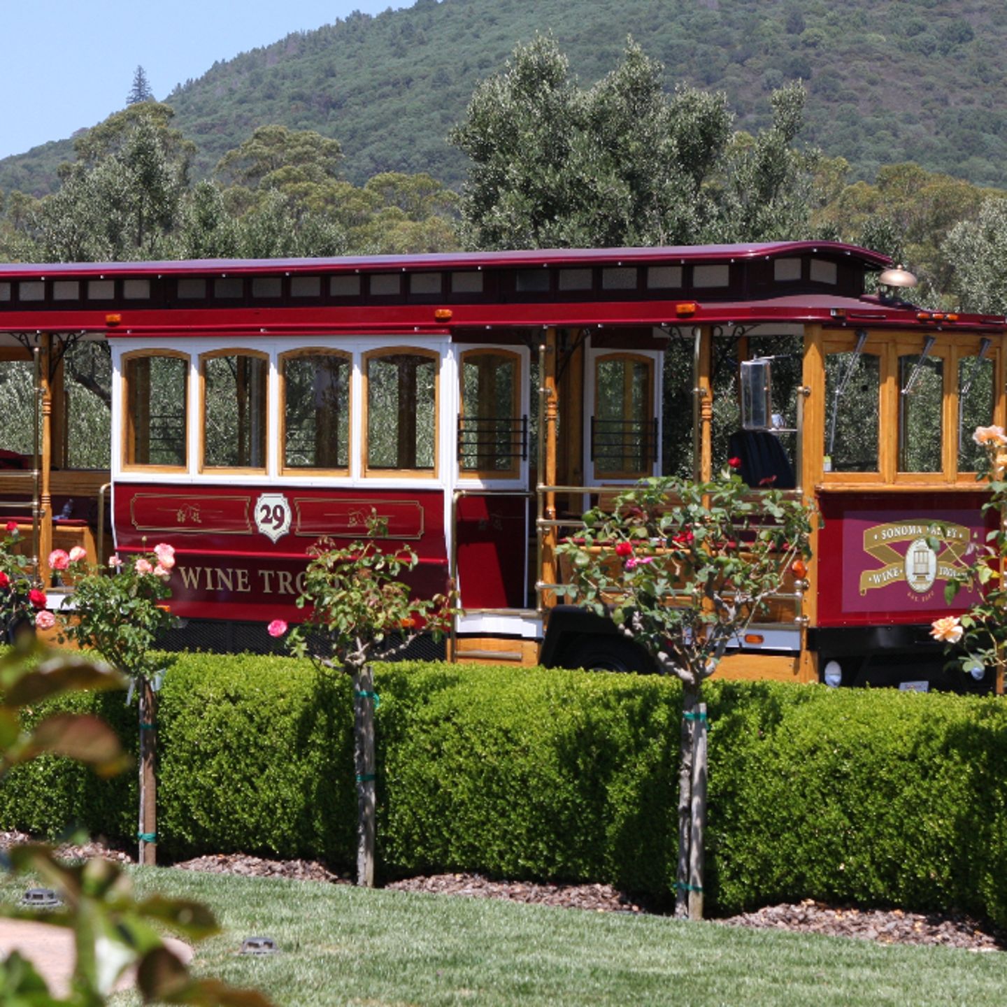 Trolley