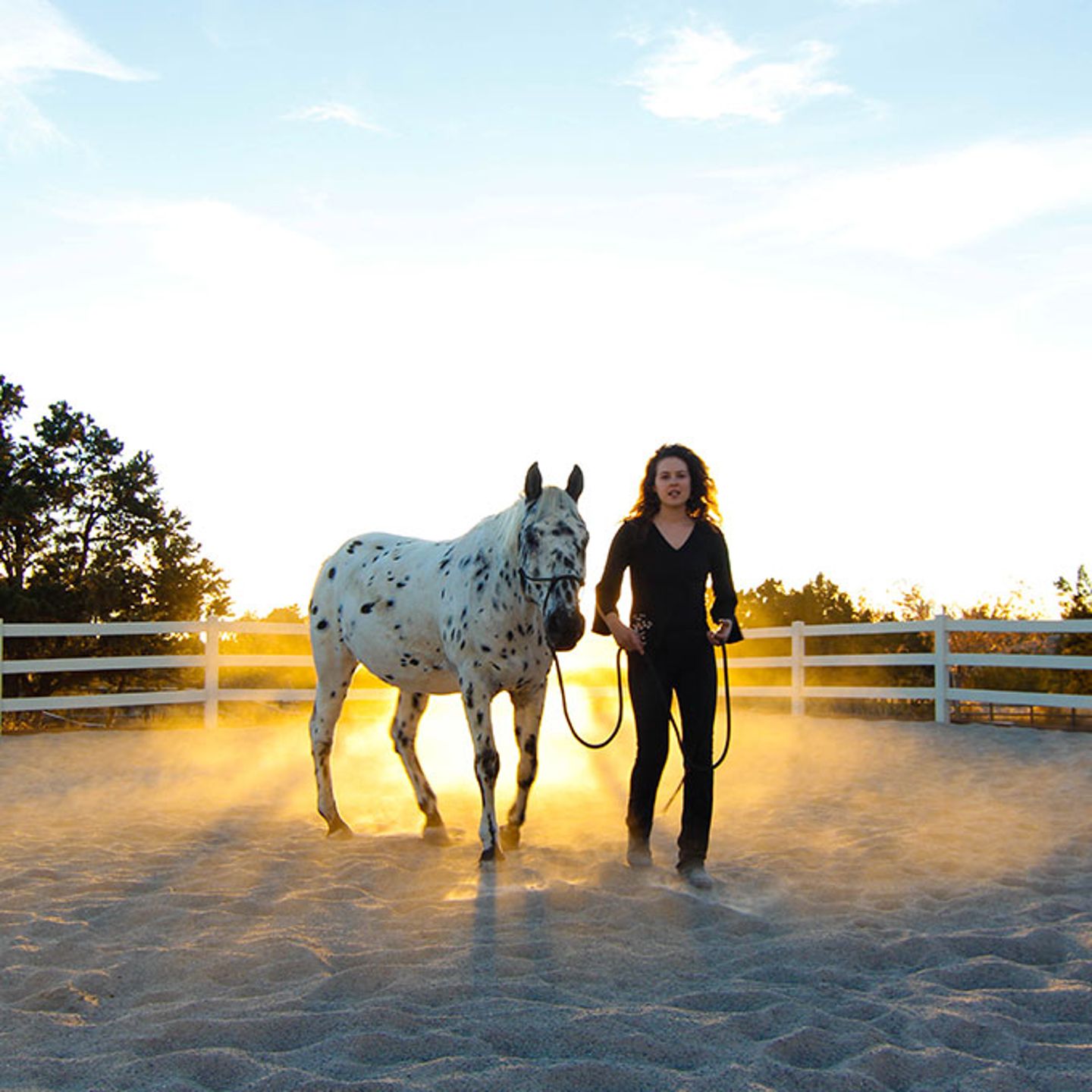 Horse Whispering Experience