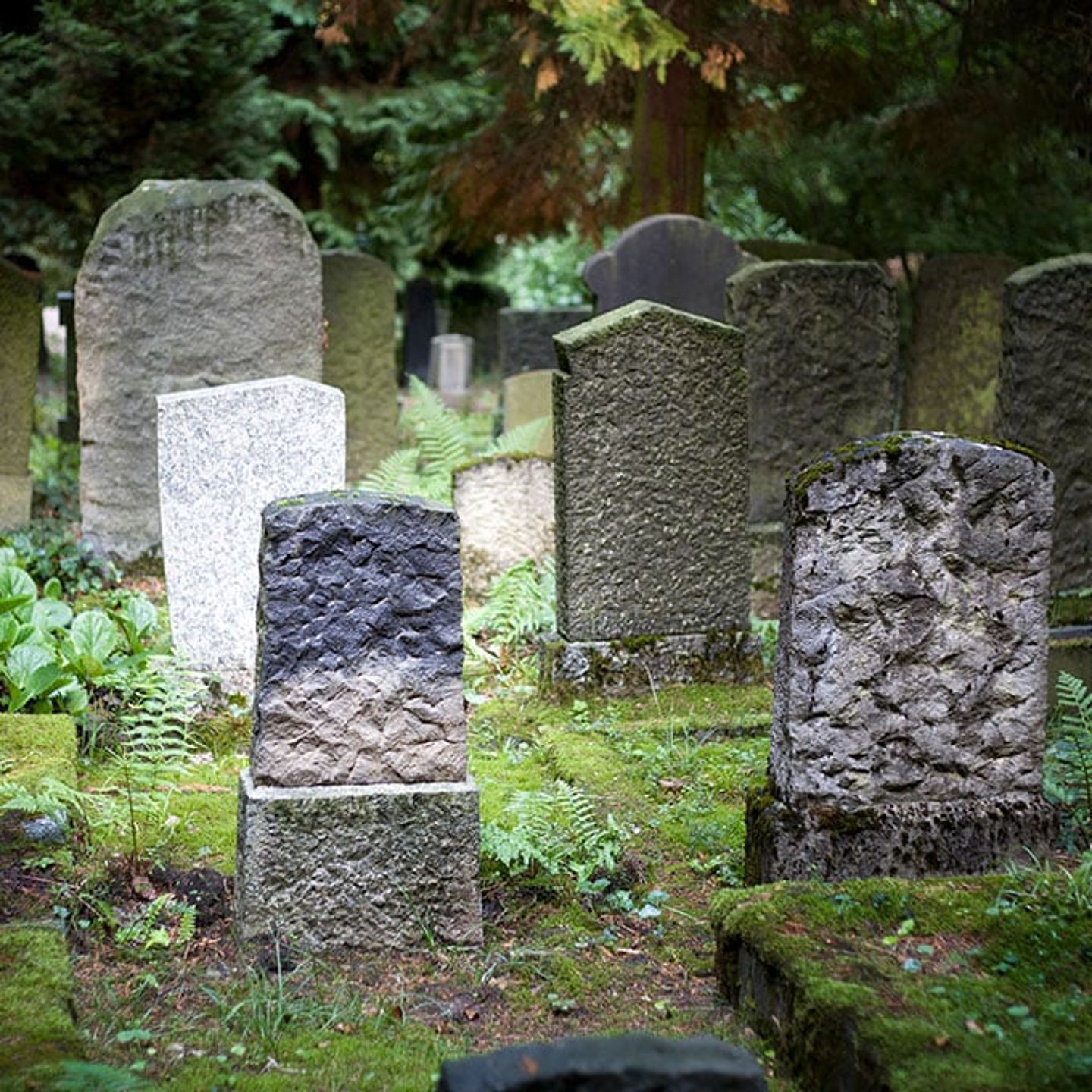 Pub Crawl in St Augustine