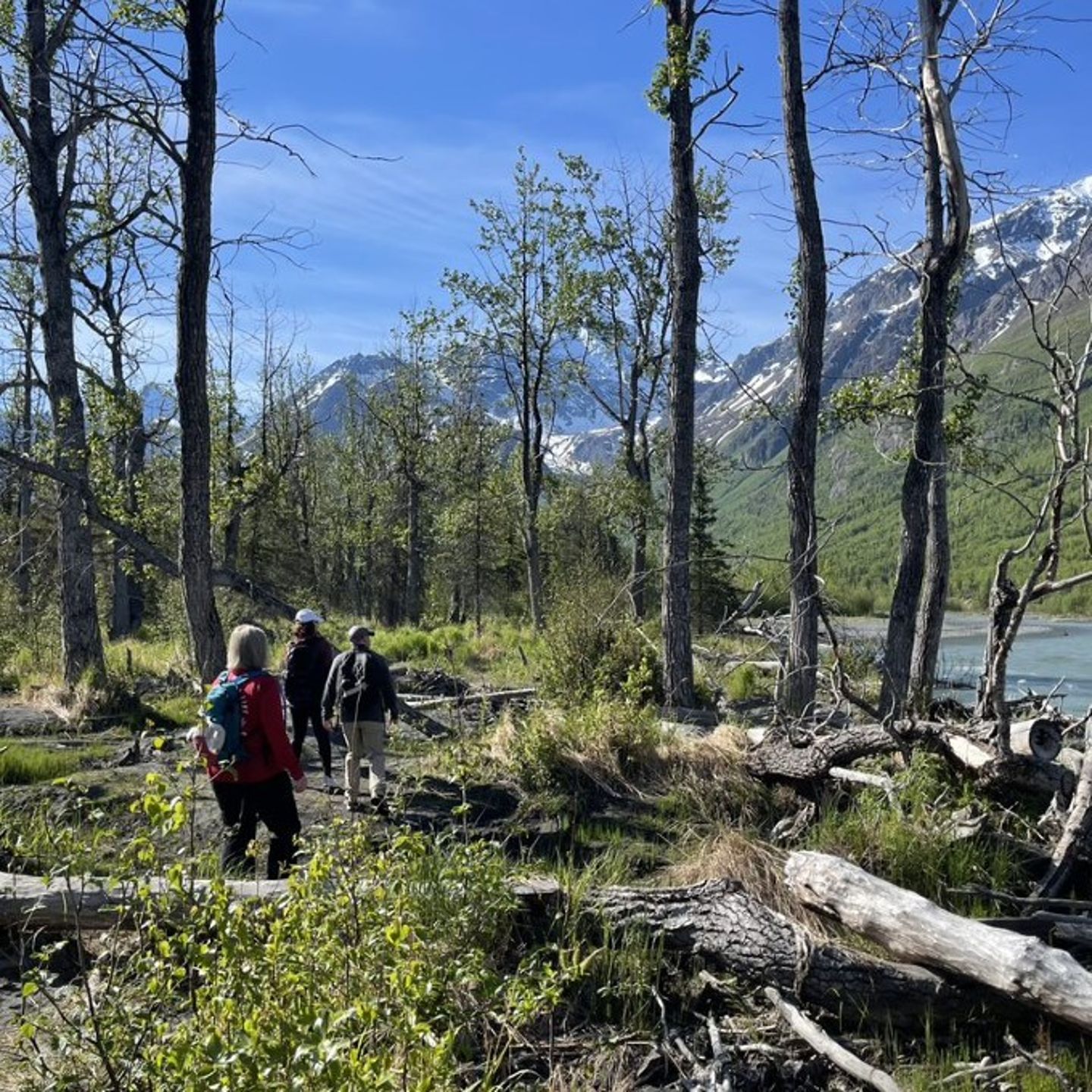 Group on hike