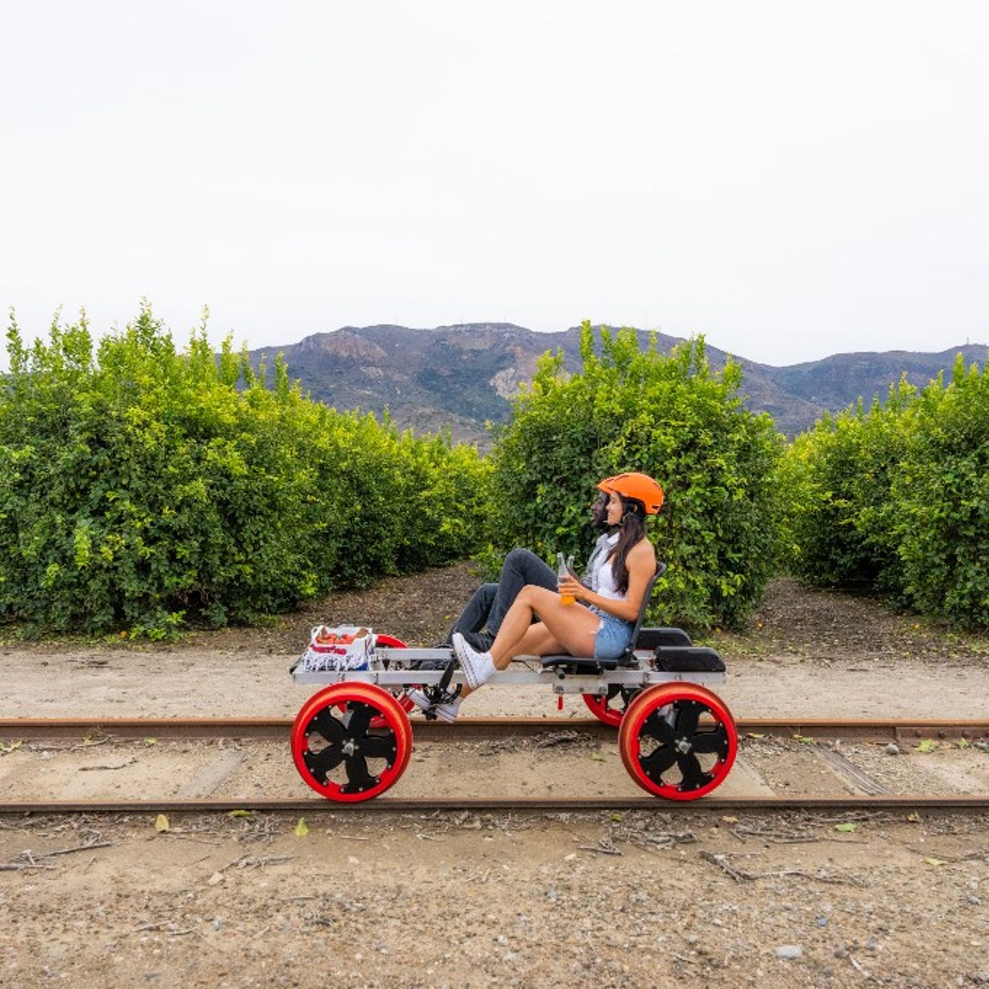 Couple pedaling on railbike