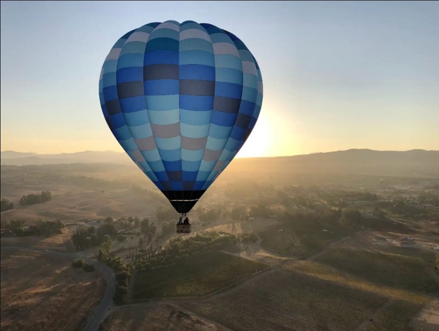 Balloon in sky