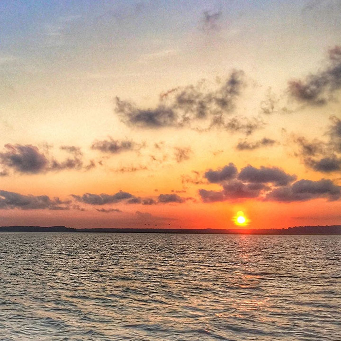 Sunset Creek Cat Tour