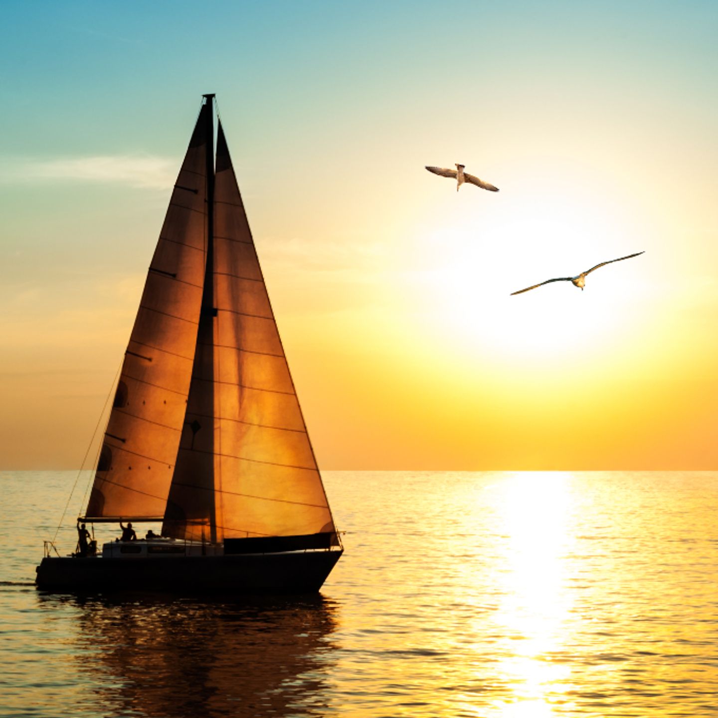 Sunset sail