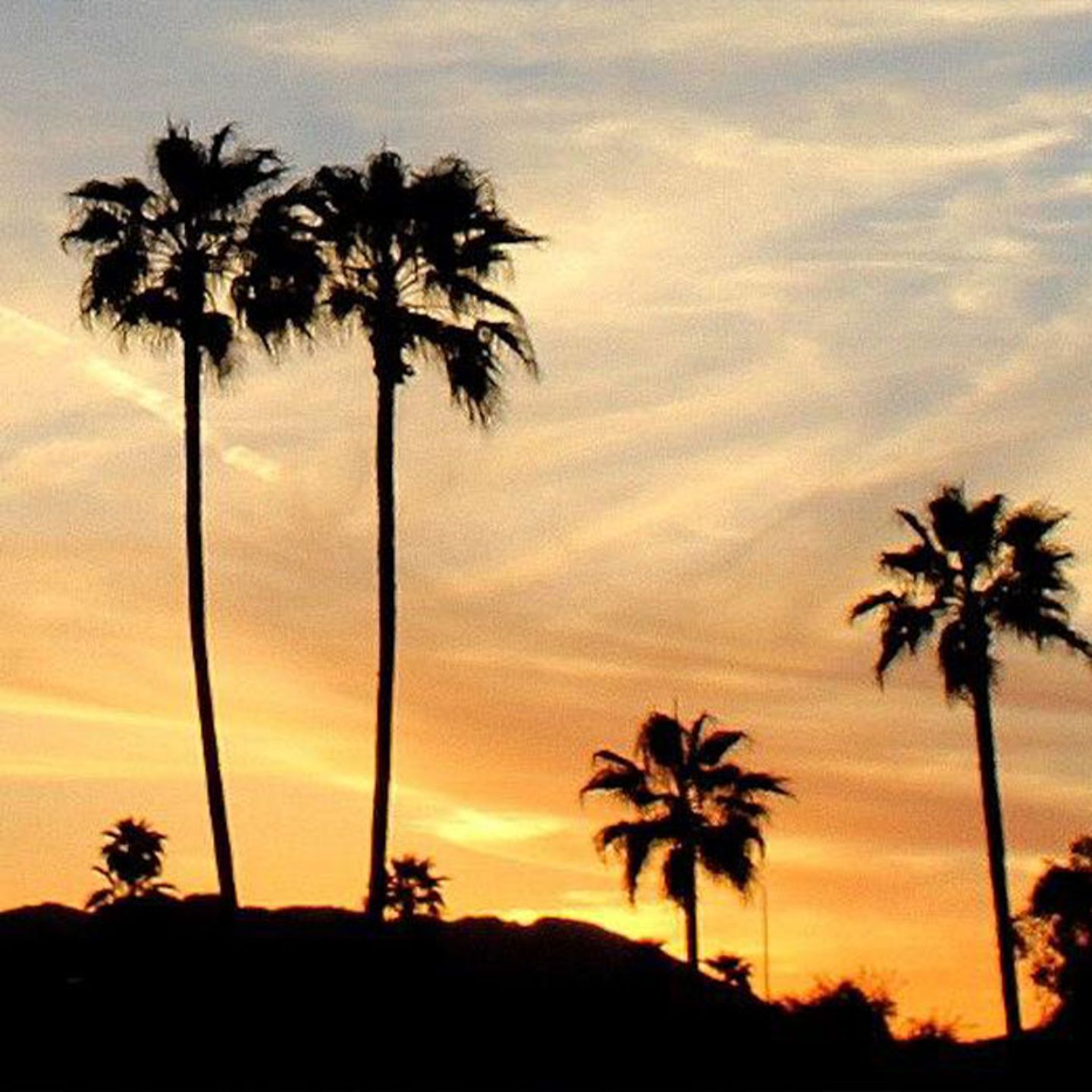 Segway Scottsdale Tour at Sunset