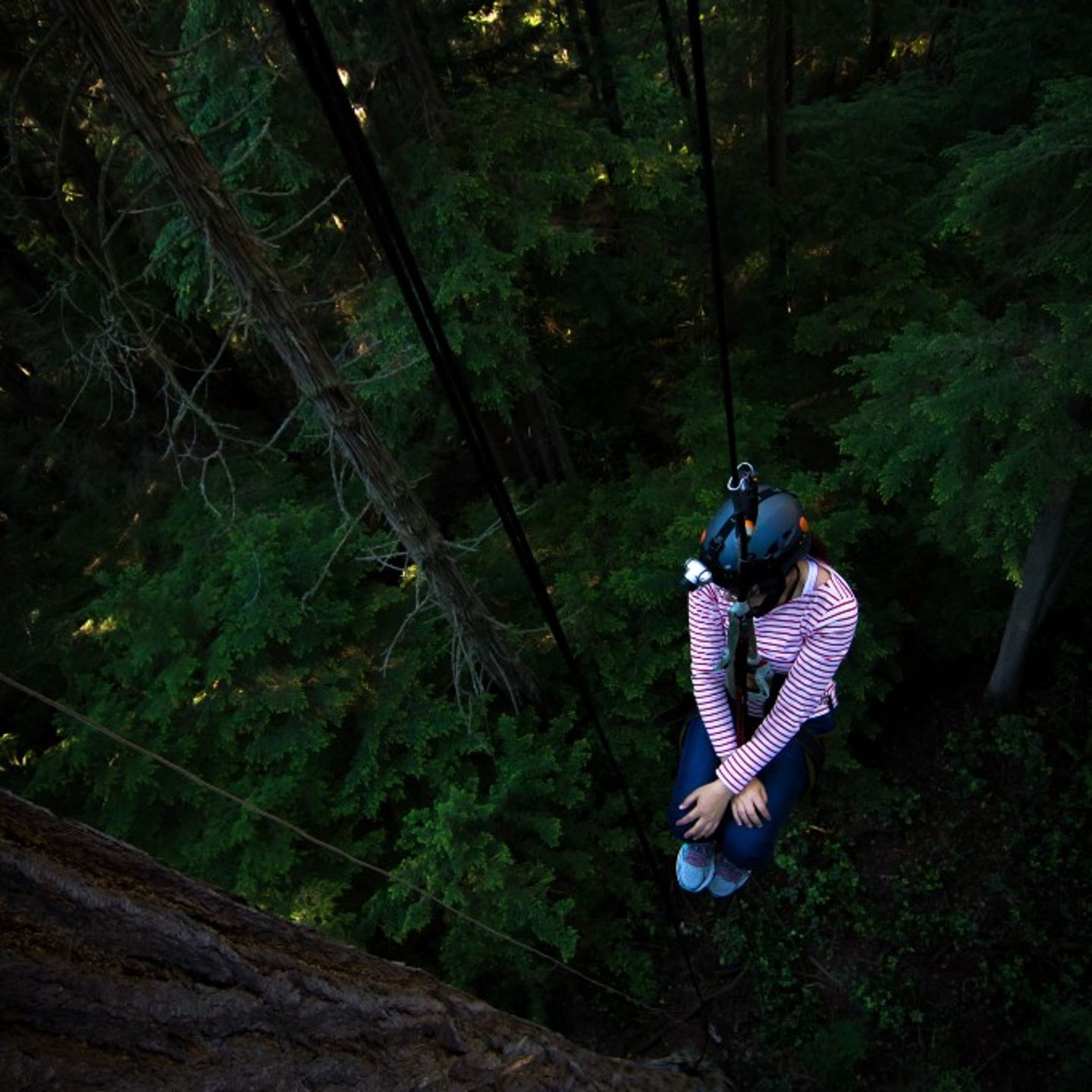 Person hanging on tree