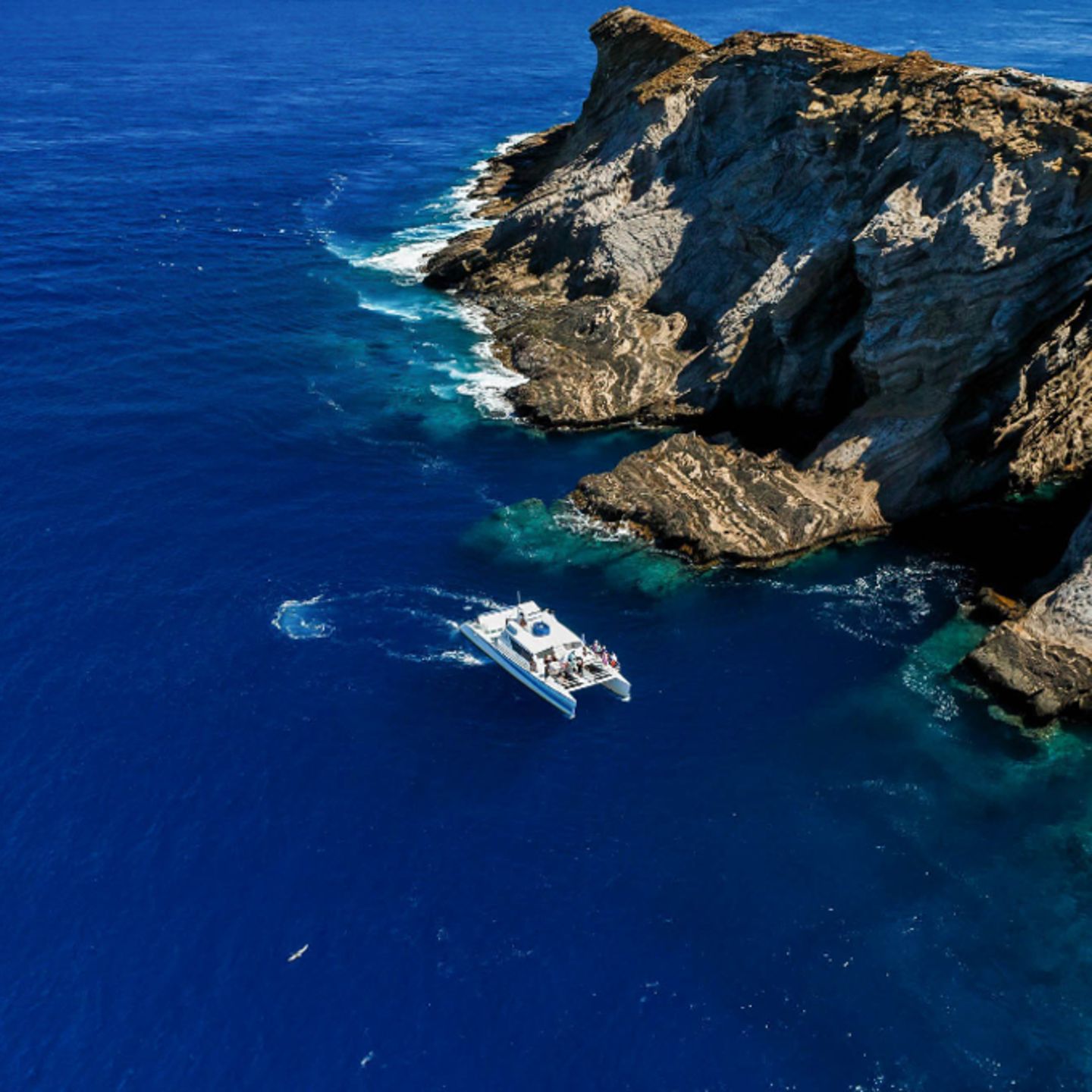 Boat sailing