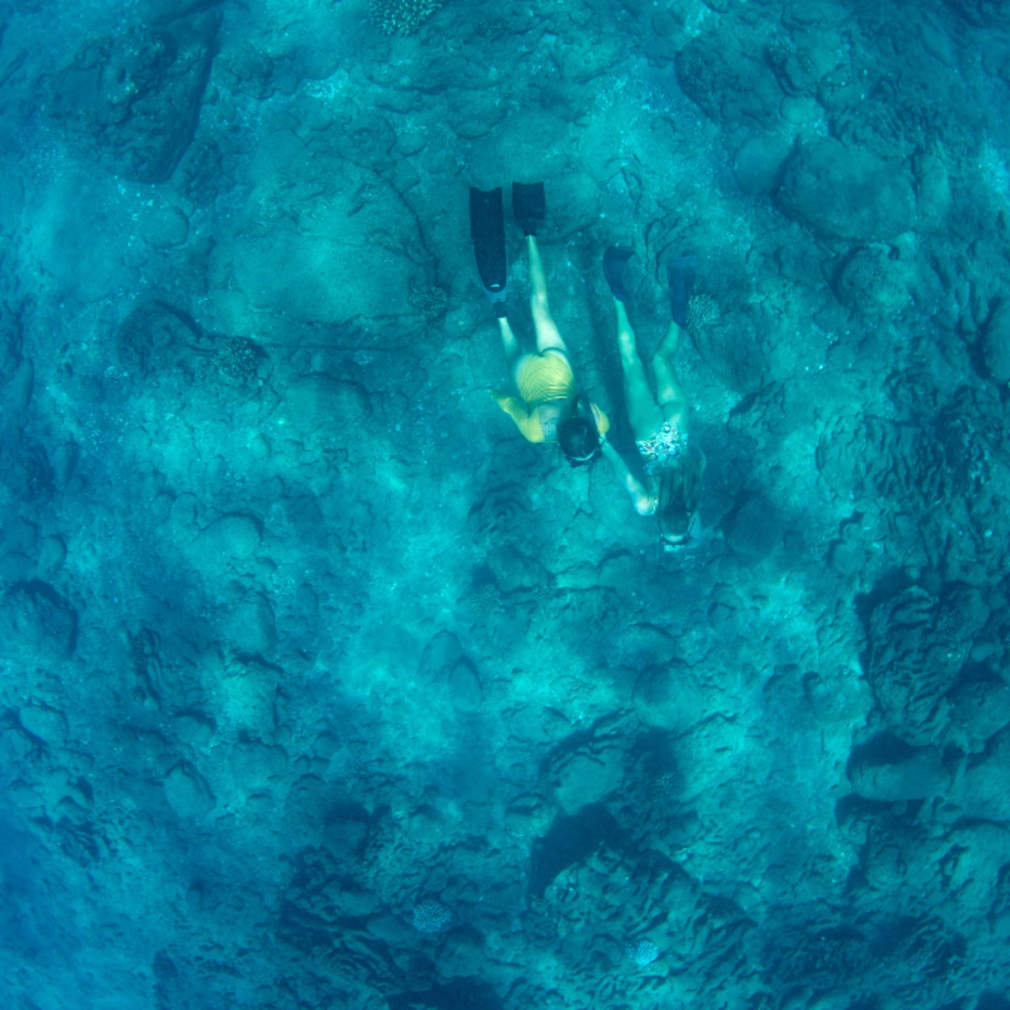 Couple snorkeling