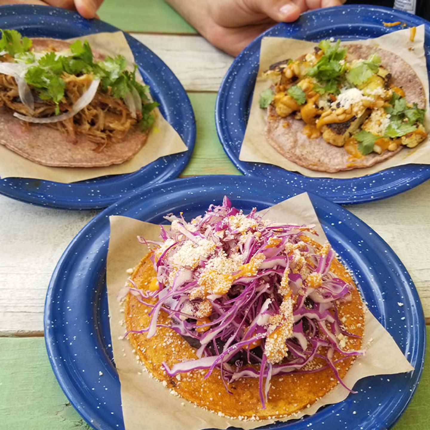 Taco Tour in Austin