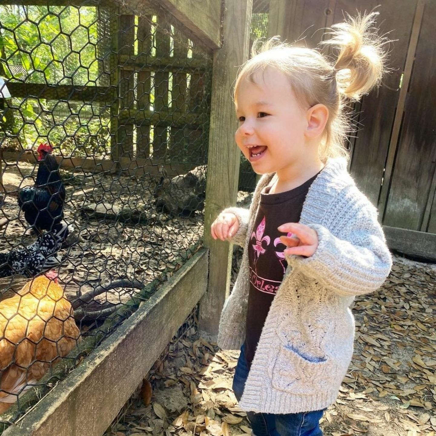 Kid looking at animals