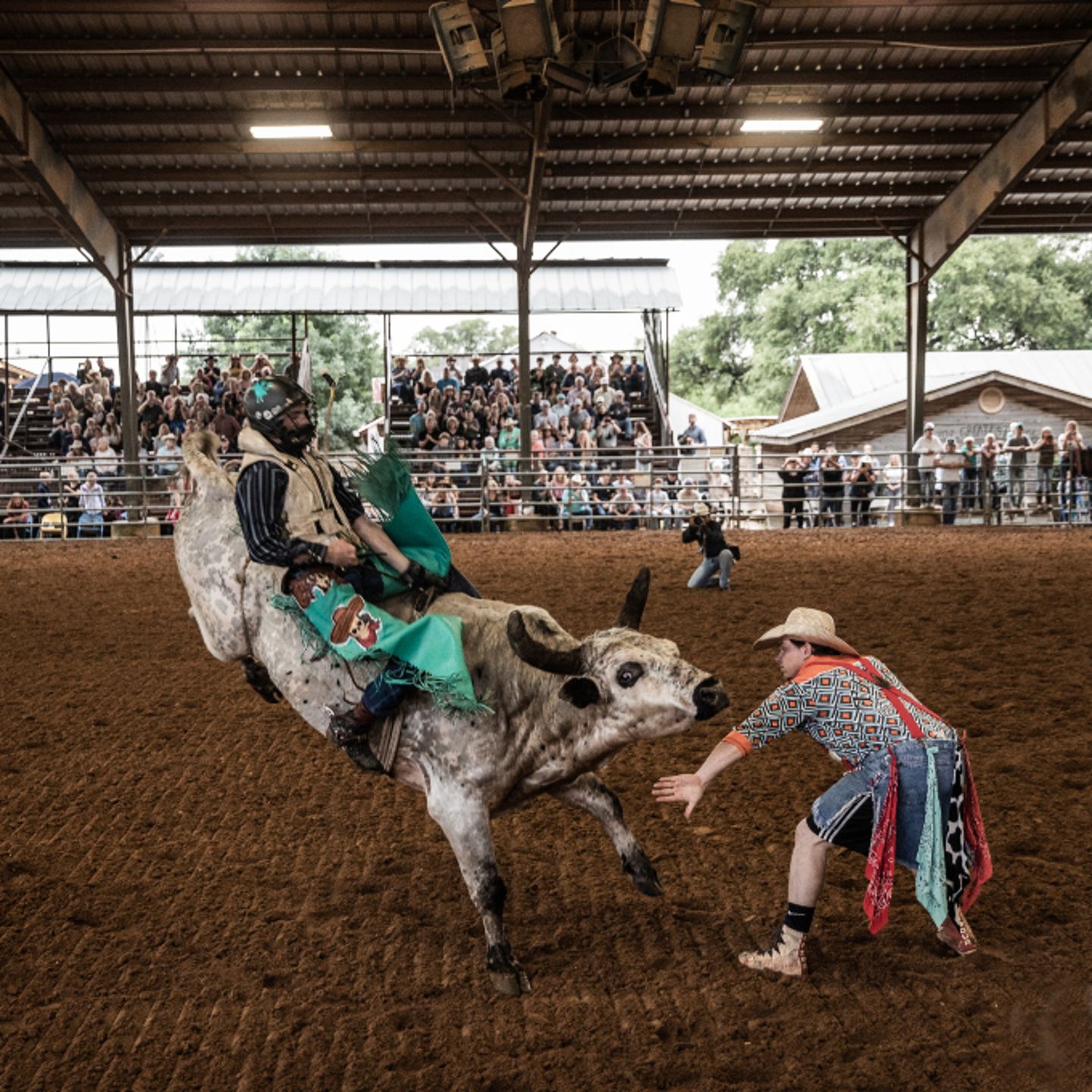 Person riding bull
