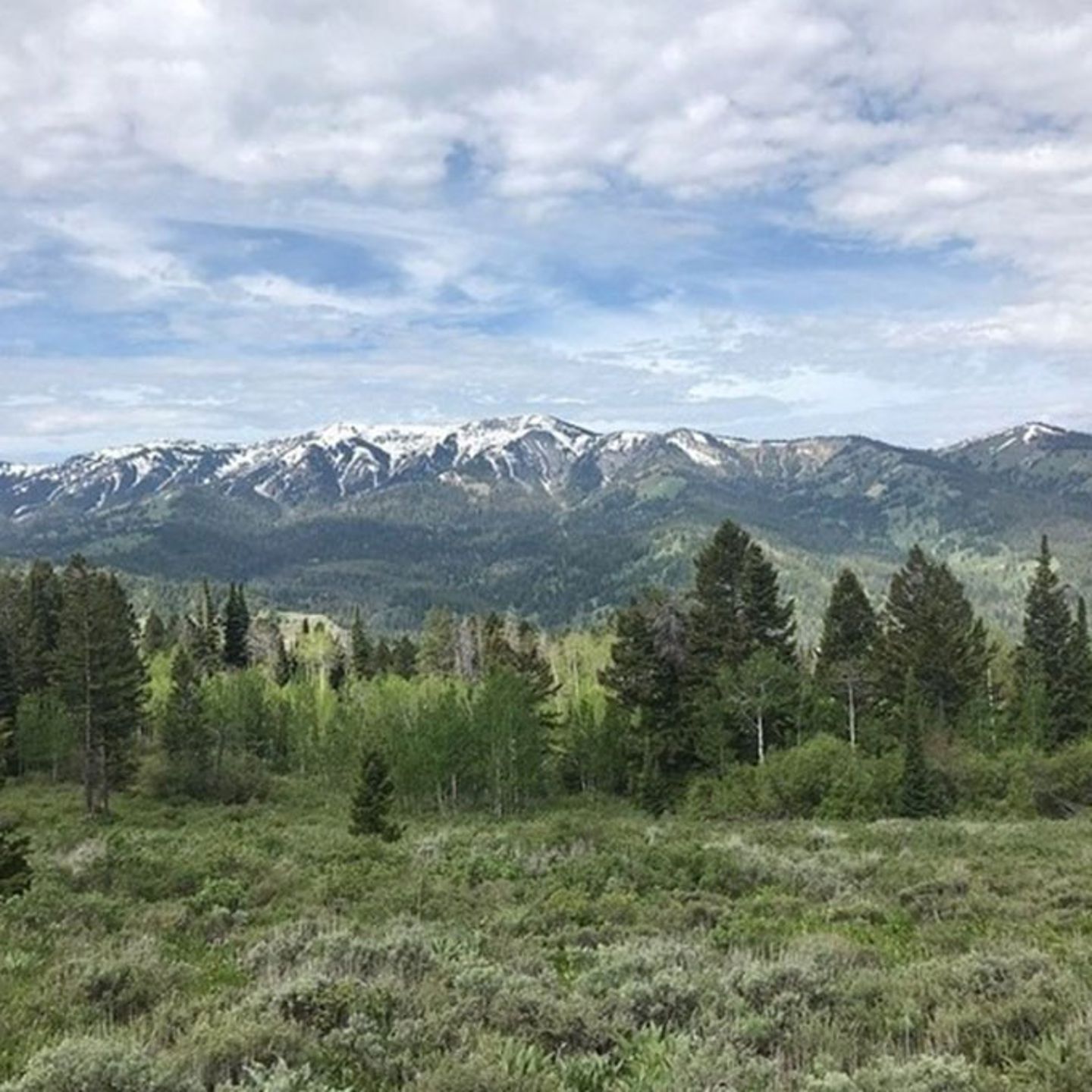https://cdn.virgingifts.com/media/image/t/e/tetonviewlunchride-willowcreekhorsebackrides2.jpg