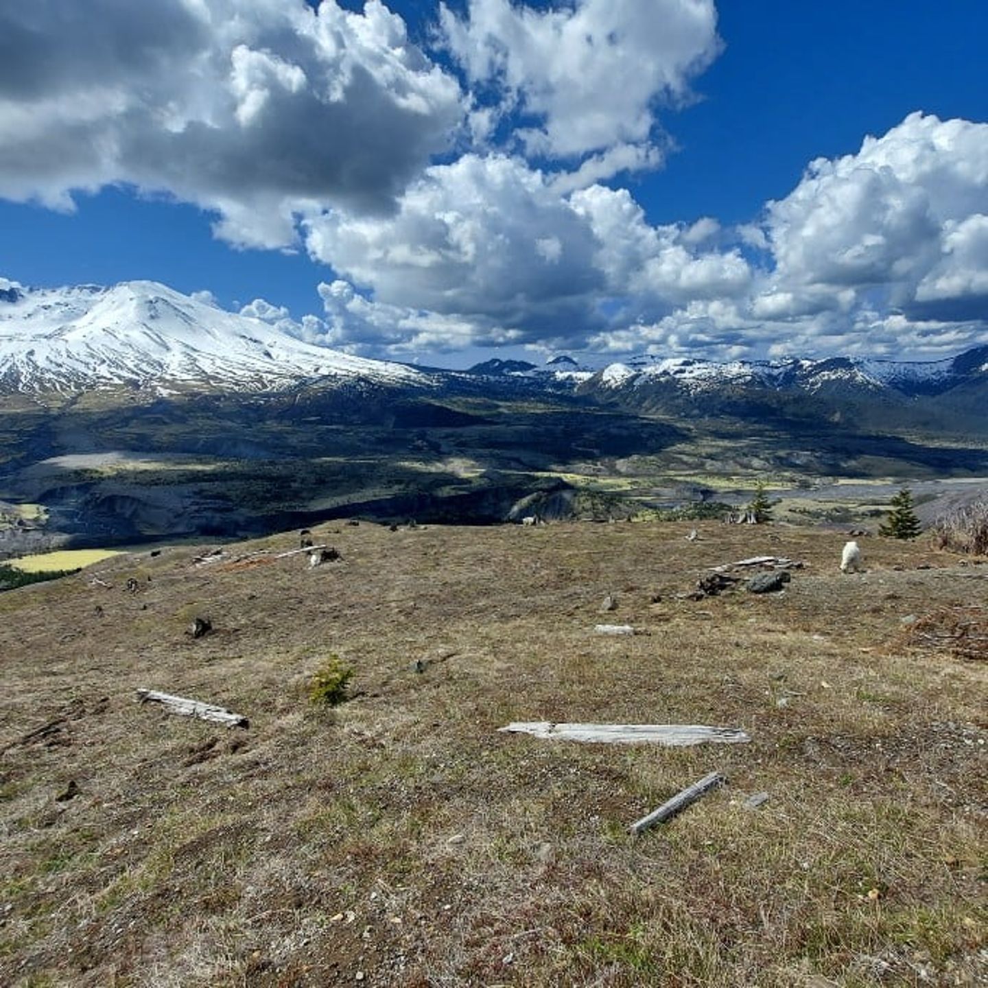 Mountains