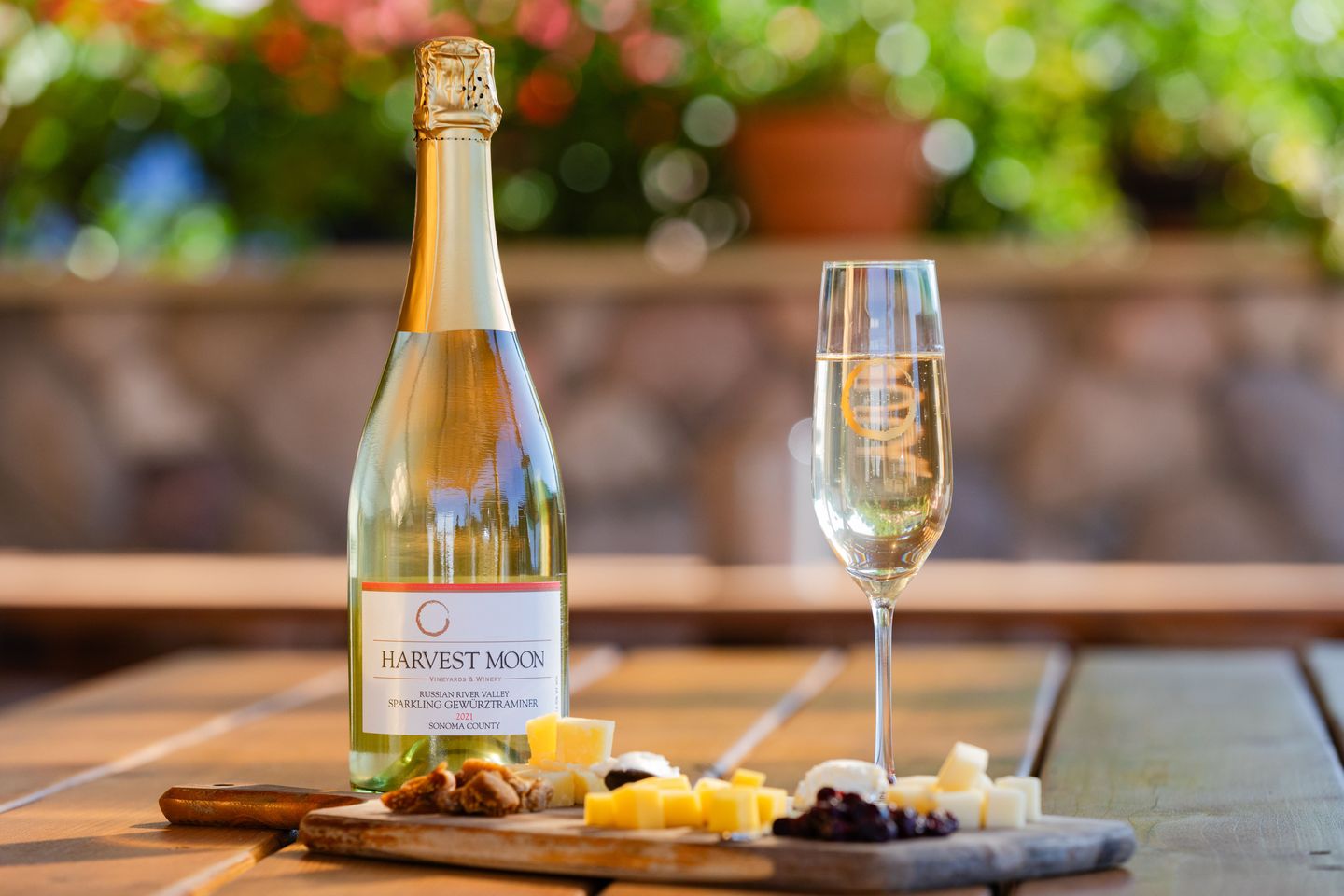 Wine with cheese board