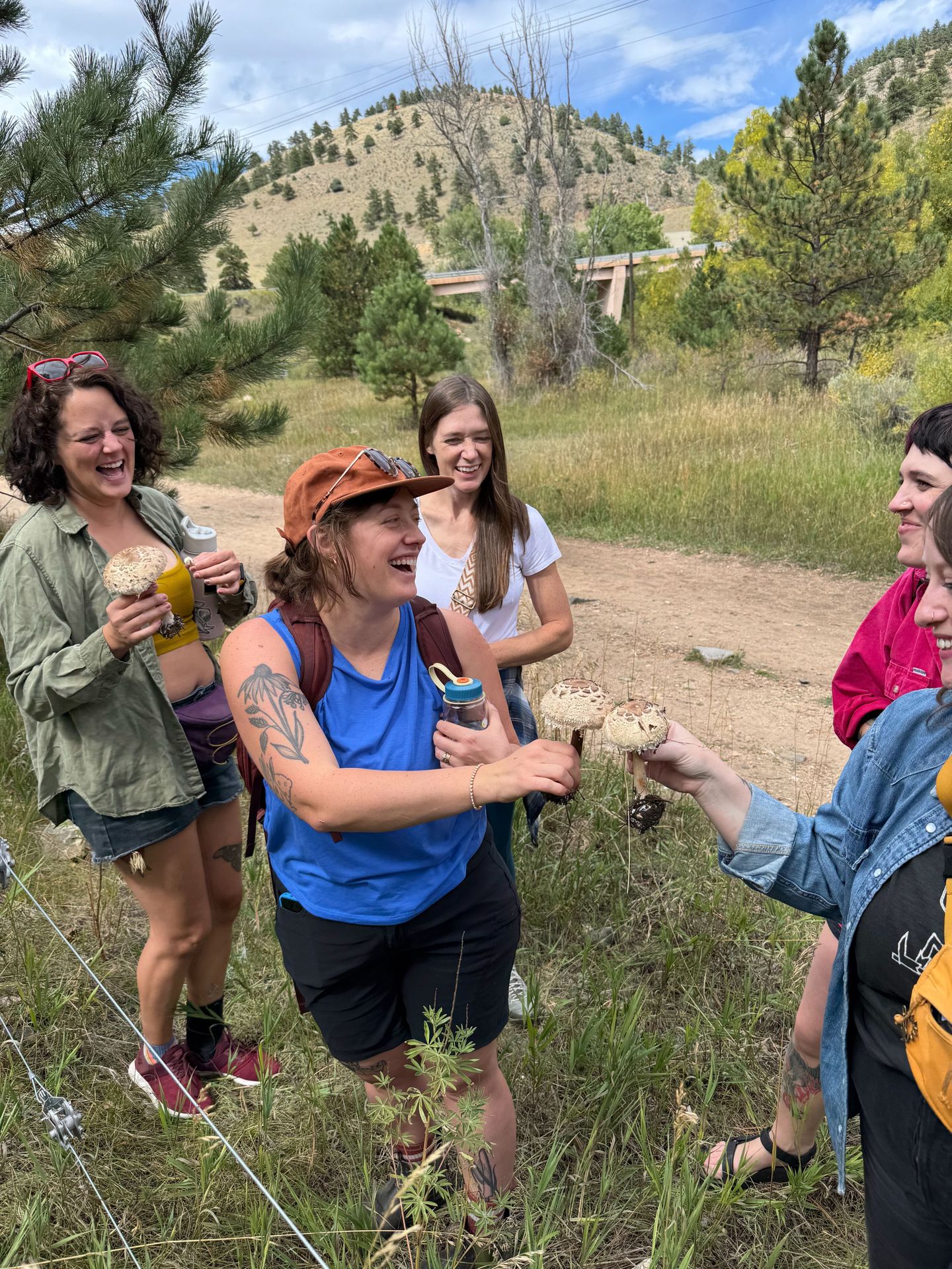 Mushroom Foraging Hike