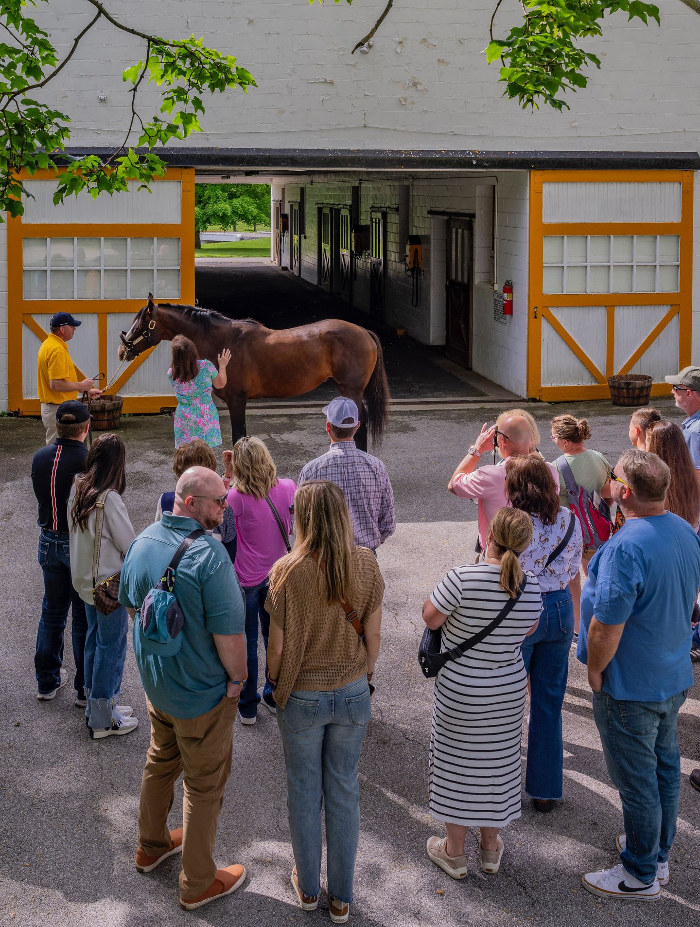 Horse Experience