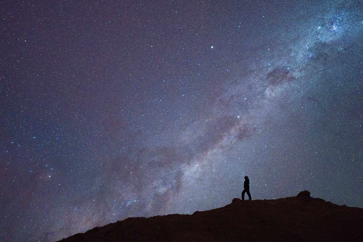 Night Star Watching