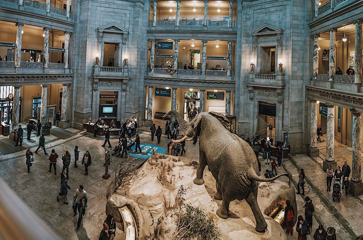 Natural History Lobby