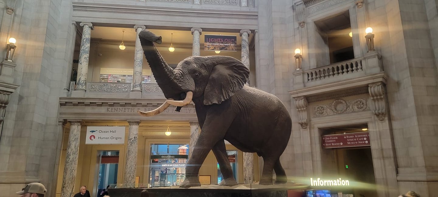 Natural History Museum