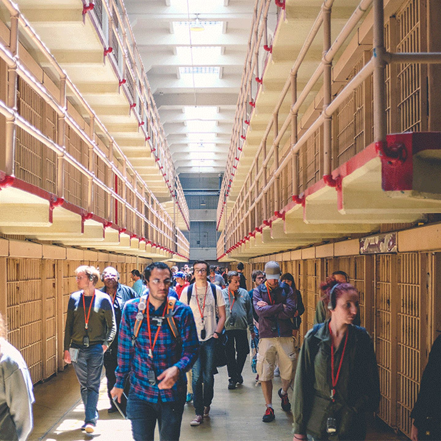 Alcatraz Tour