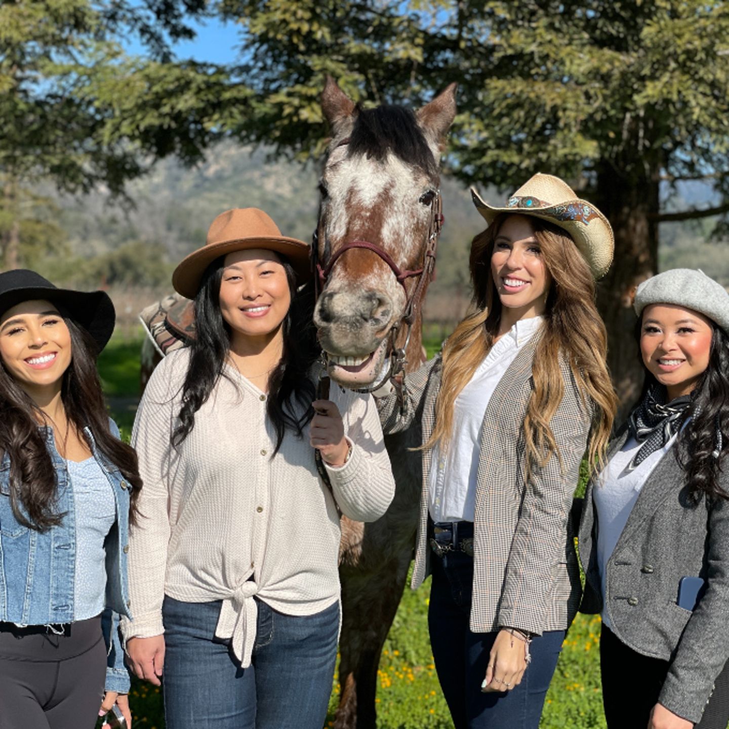 Friends with horse