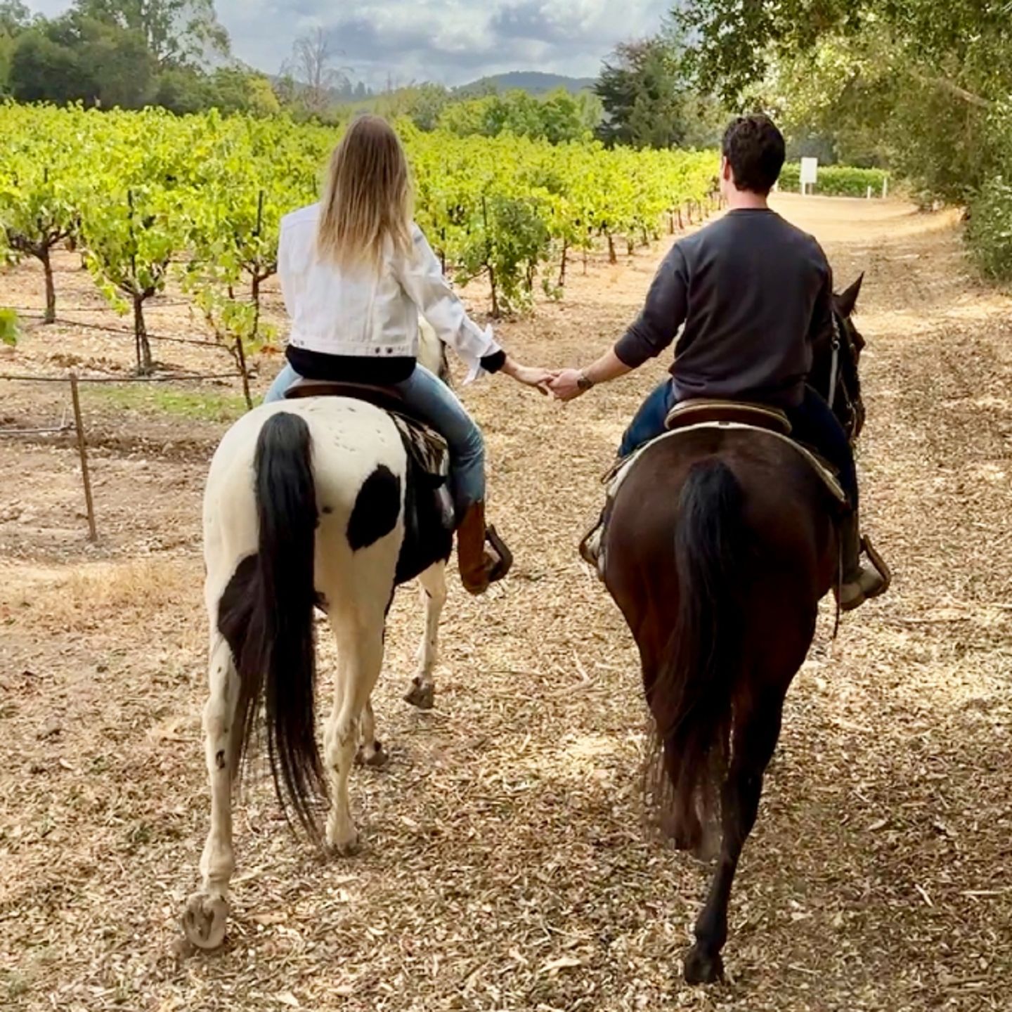 Couple riding horses