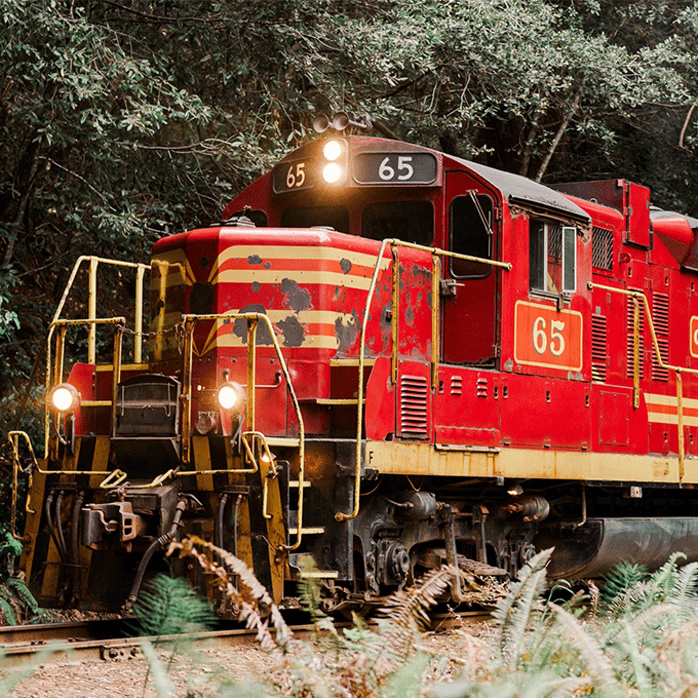 Train Ride