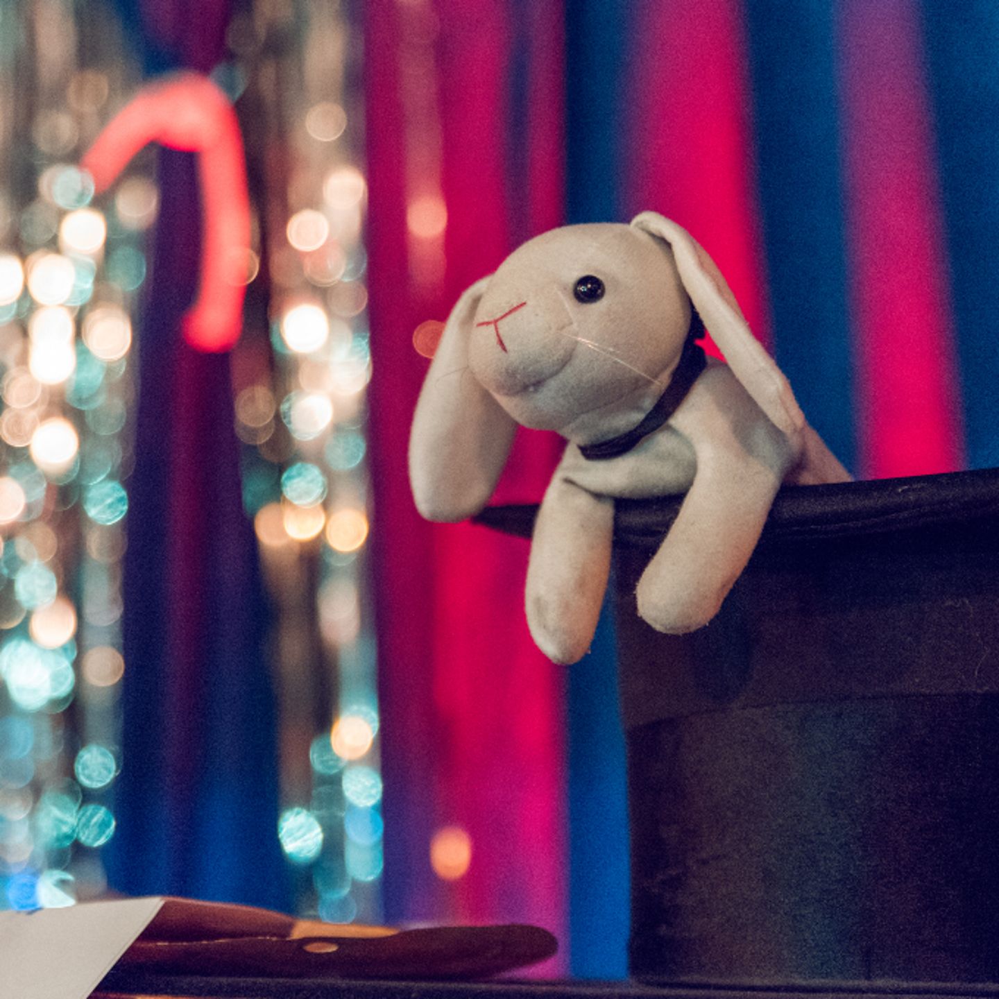 Hoppy the rabbit