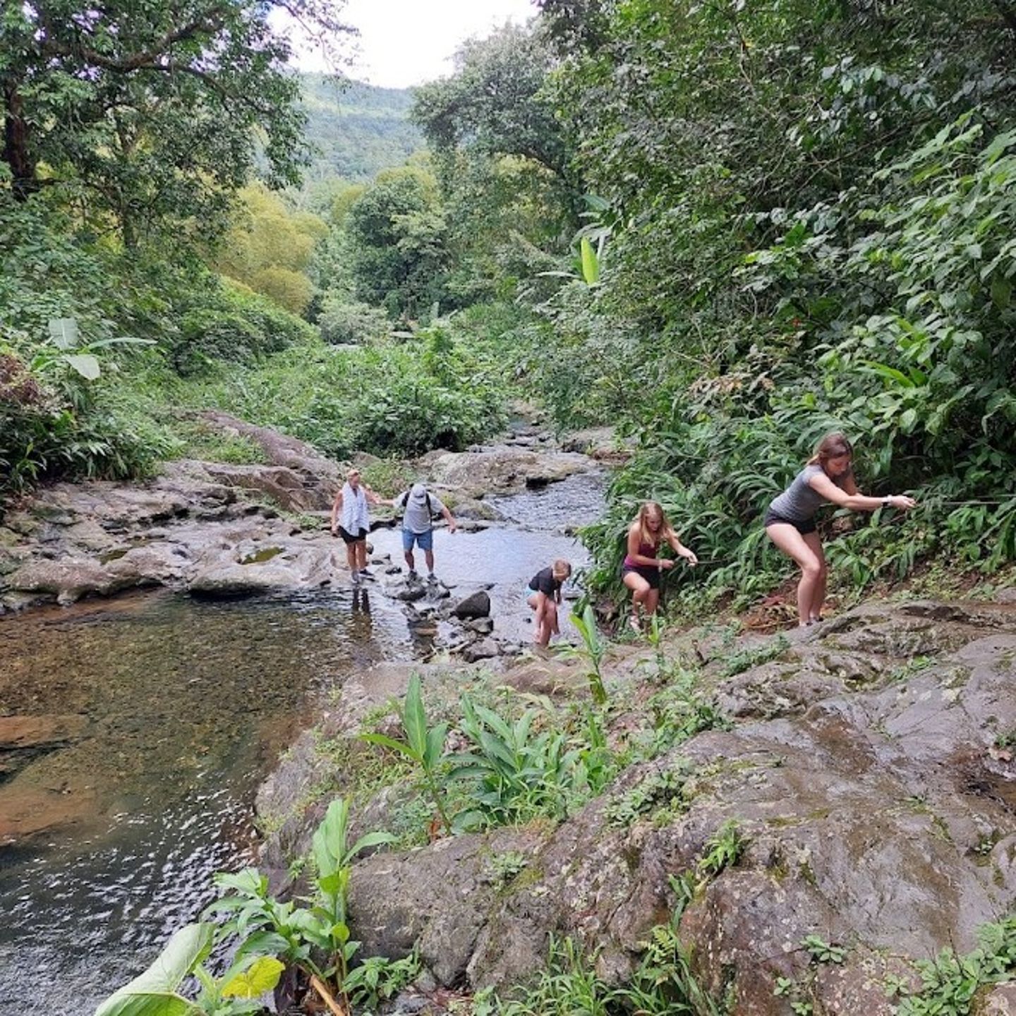 Group Climbing up Hill